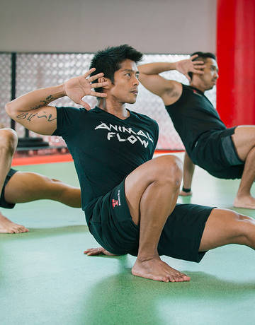 fitness-first-group-class-fitness-first-group-class-animal-flow-cti-thumbnail