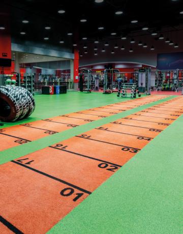 bcc-web-(freestyle)-fitness-first